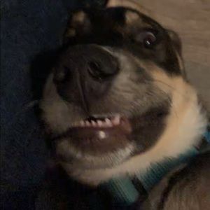 Meet your Posher, Nathan